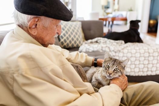 Pets Make Healthier, Happier Seniors