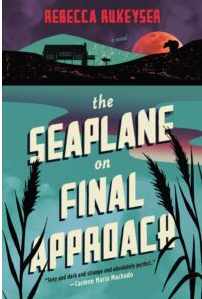 A book cover with the title "The Seaplane on Final Approach."