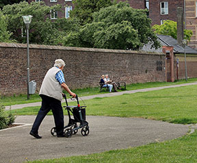 An elderly woman on a walker takes her daily walk in the park.