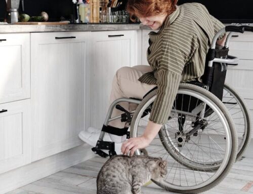 Seniors and the Health Benefits of Pet Companionship