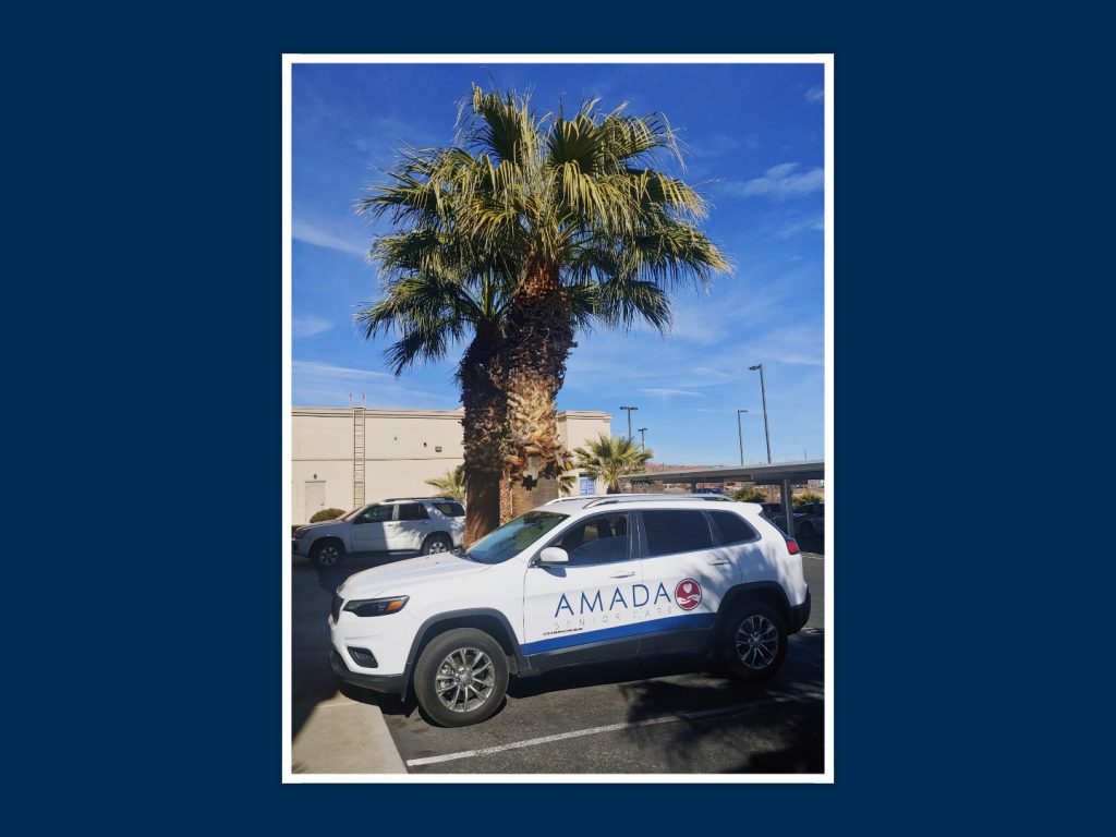 Amada service vehicle parked next to a palm tree.